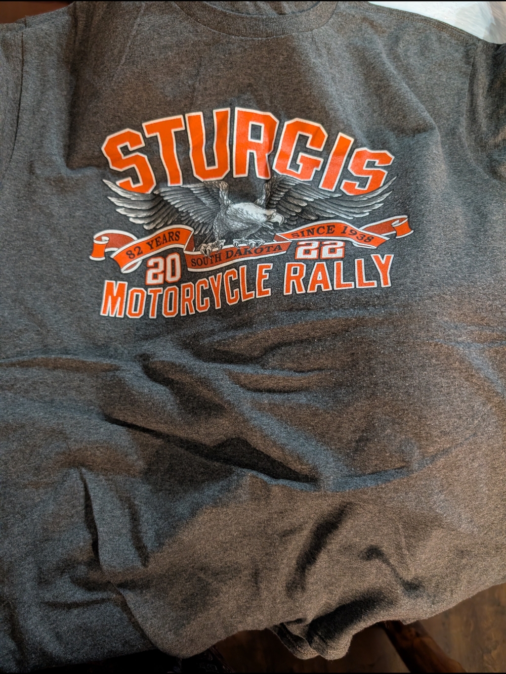 Motorcycle Rally Men's Gray Graphic Tee